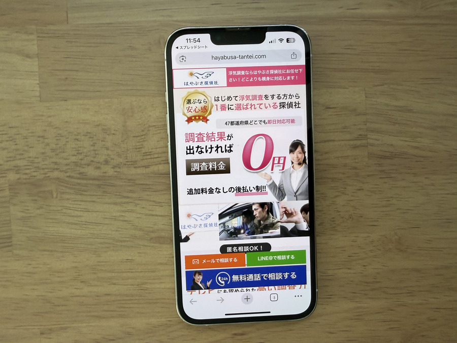 はやぶさ探偵社の基本情報