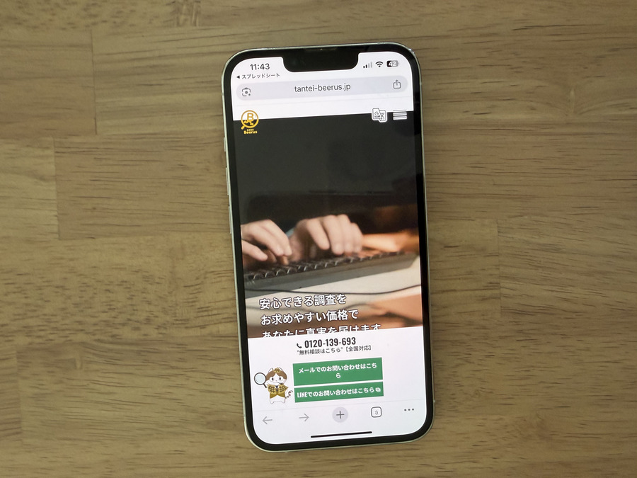 総合探偵社Beerusの基本情報
