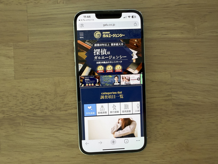 総合探偵社ガルエージェンシーの基本情報