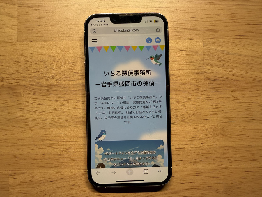 いちご探偵事務所の概要