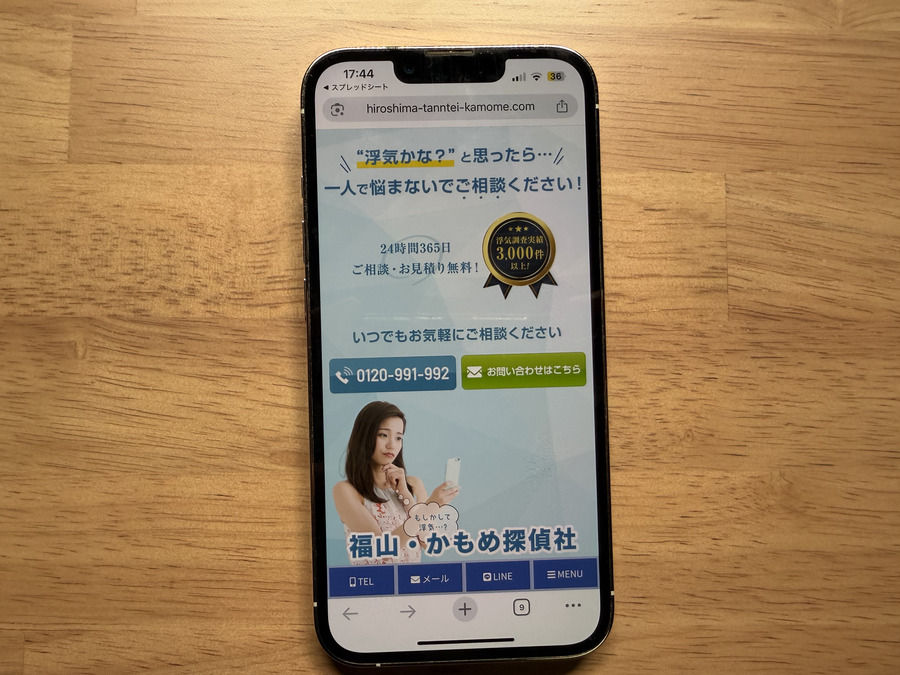 かもめ探偵社の概要