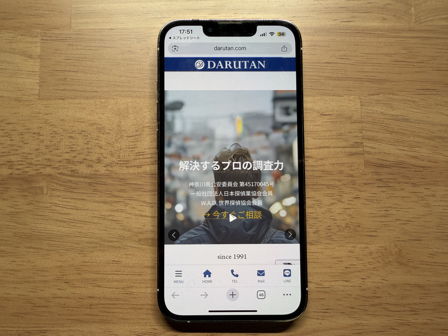 ダルタン調査事務所の概要