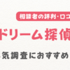 ドリーム探偵